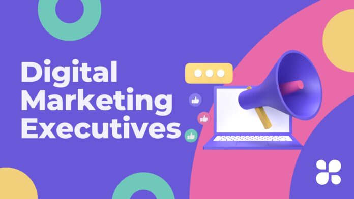 Digital Marketing Executives